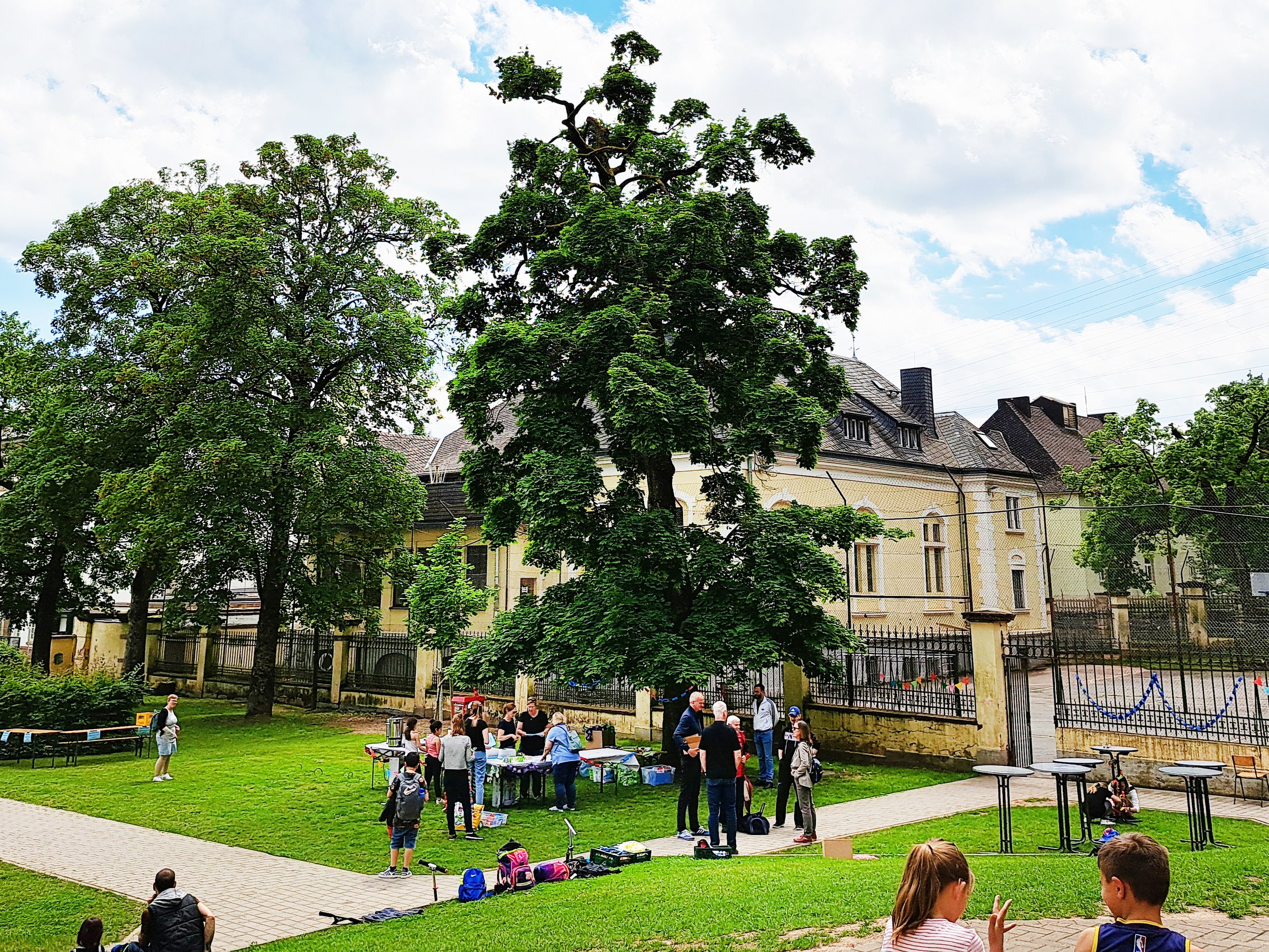 Außenansicht Gelände. Trier mit großen grünen Bäumen davor, Wiese und Menschen