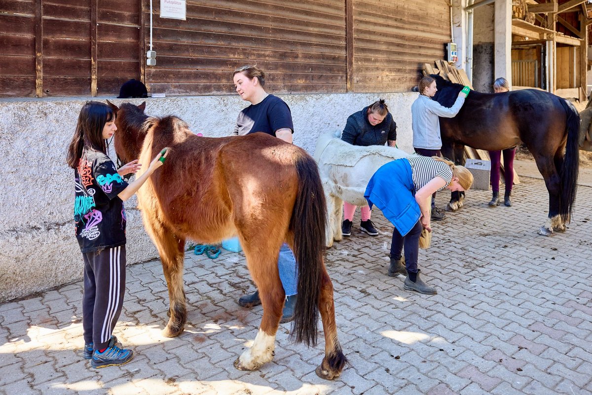Gruppe junger Frauen mit Betreuerin und Reittherapeutin pflegen Pferde auf Putzplatz