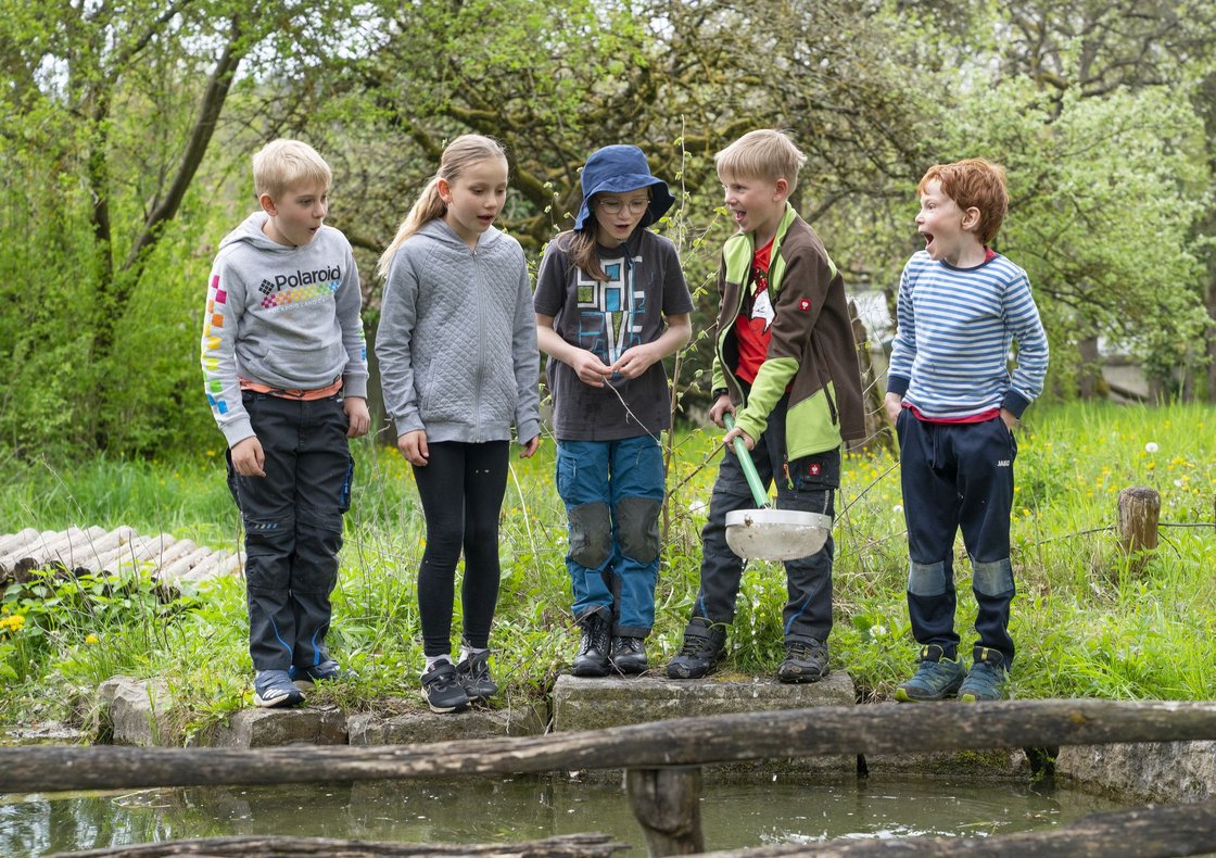 Fünf aufgeregte Kinder beobachten Wasser im Freien. Ein Junge hält einen Kescher, ein anderer hat den Mund überrascht geöffnet.