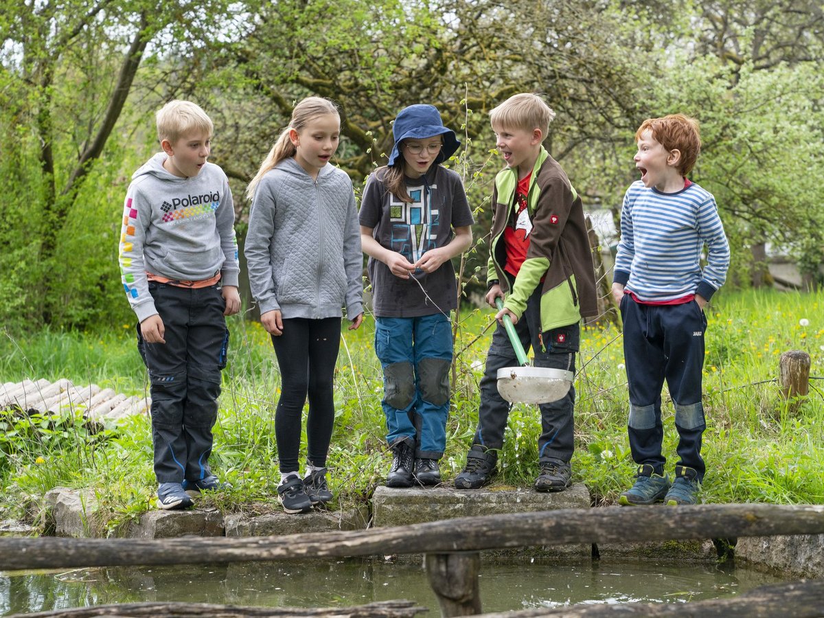 Fünf aufgeregte Kinder beobachten Wasser im Freien. Ein Junge hält einen Kescher, ein anderer hat den Mund überrascht geöffnet.
