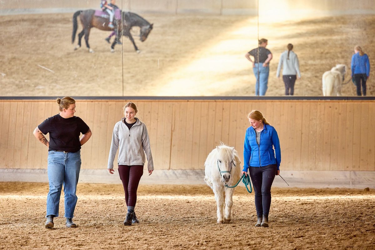 zwei junge Frauen mit weißem Pony in Reithalle, im Hintergrund spiegelt sich Reiterin an Longe