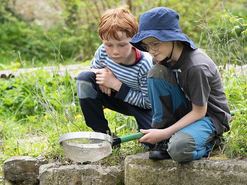 Zwei Kinder beobachten einen Teich mit einem Netz und erkunden die Natur.