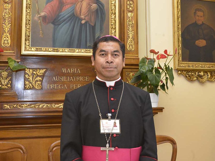 Ein Bischof in schwarzer und roter Klerikerkleidung mit rosa Zucchetto und Pektoralkreuz vor religiöser Kunst.