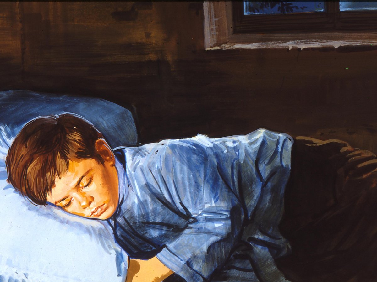 Ein Gemälde eines jungen Jungen mit hellbraunem Haar, der friedlich auf einem hellblauen Kissen in einem dunklen Zimmer schläft.