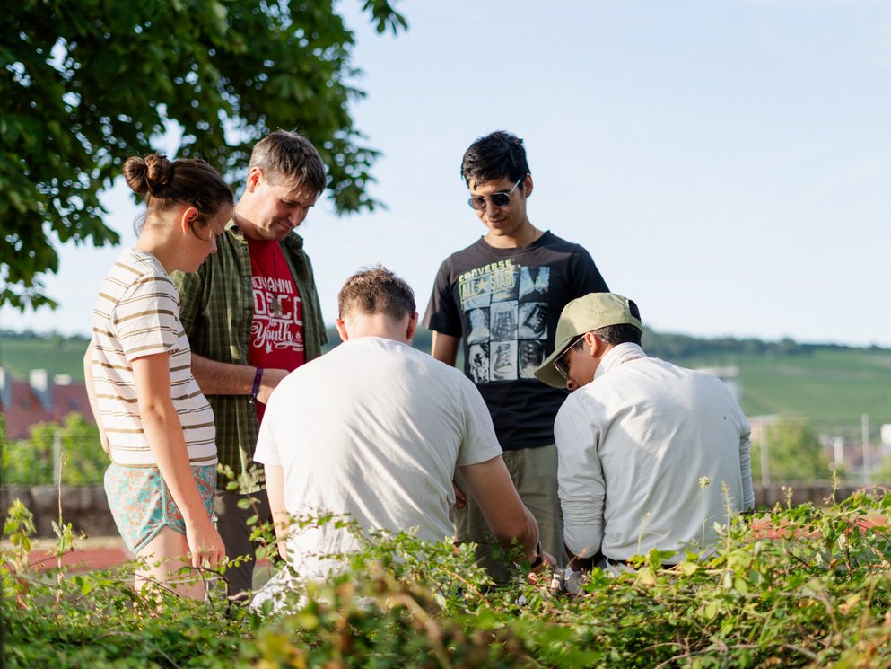 Fünf Personen, darunter zwei junge Männer und eine Frau, bücken sich im Freien, um etwas am Boden zu betrachten.