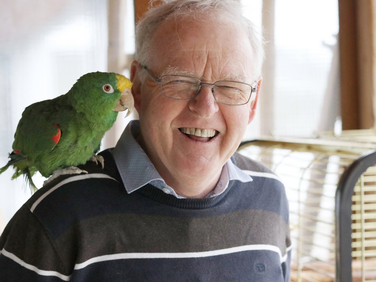 Älterer Mann lacht mit geschlossenen Augen, ein grüner Papagei mit gelbem Kopf sitzt auf seiner Schulter.