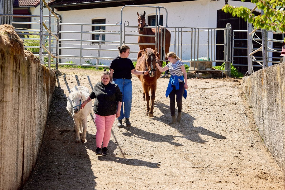 zwei junge Frau mit Betreuerin führen Pferd und Pony von Koppel in den Hof