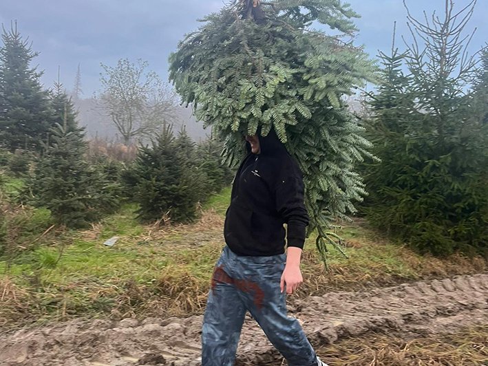 Person trägt großen Weihnachtsbaum auf der Schulter durch eine schlammige Baumschule an einem bewölkten Tag.