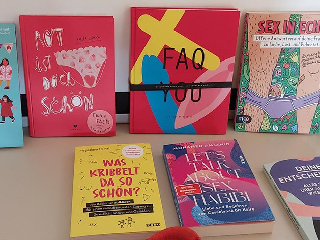 Eine Sammlung bunter Bücher zum Thema Sexualität, Pubertät und Aufklärung, darunter Titel wie 'Not ist doch schön' und 'Sex in Echt'.