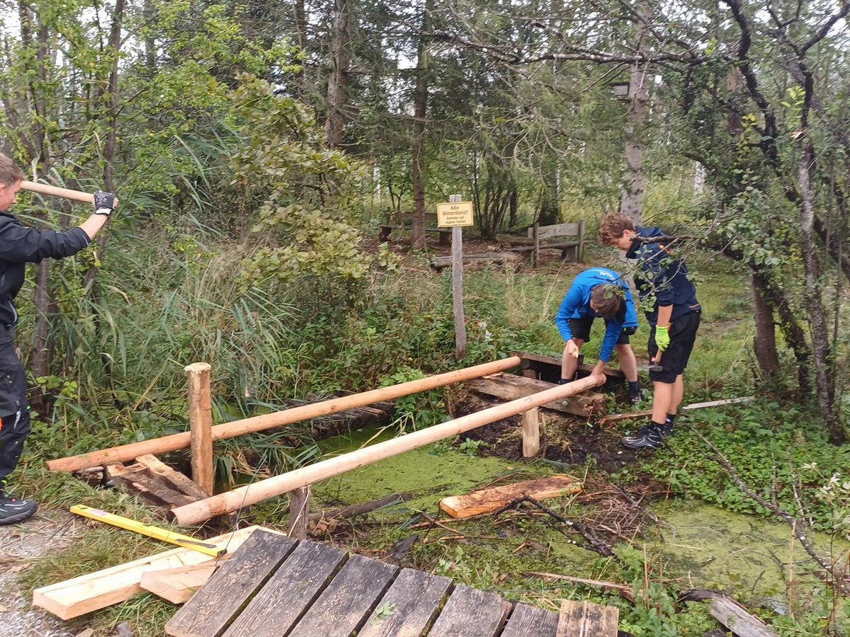 Drei junge Männer bauen eine Holzbrücke über einen schlammigen Bach in einem Waldgebiet, mit Werkzeugen wie Vorschlaghammer und Kettensäge.