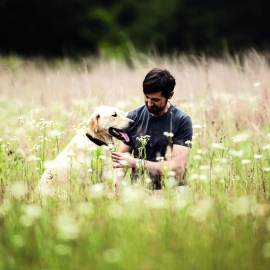 Ein Mann und ein hellbrauner Hund sitzen in einer blühenden Blumenwiese.