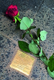 Ein goldener Stein mit Inschrift ist in einer Straße eingepasst worden. Darüber liegt eine rote Rose.