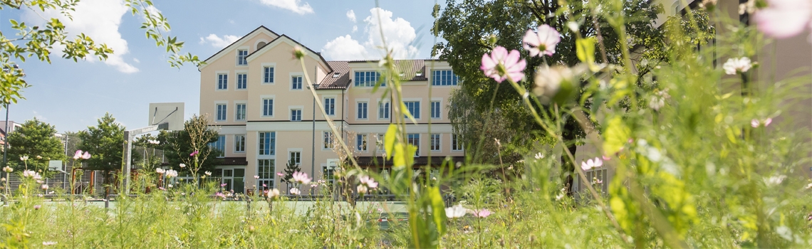 Blumenwiese auf dem Campus Don Bosco in München